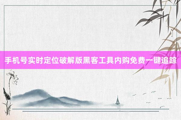 手机号实时定位破解版黑客工具内购免费一键追踪